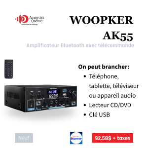 Woopker AK55 - Amplificateur Bluetooth compact avec télécommande