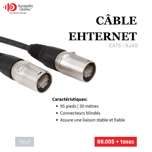 Câble Ethernet CAT5 professionnel– 30 mètres (RJ45)
