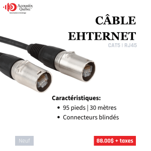 Câble Ethernet CAT5 professionnel– 30 mètres (RJ45)